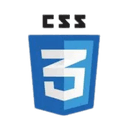 css icon
