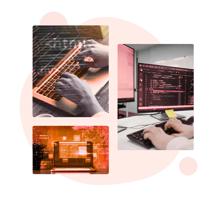 laravel development services